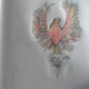 Meet your Posher, Jack